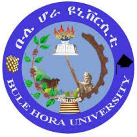 Bule Hora University .